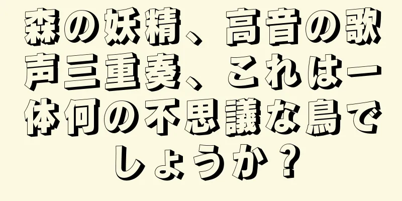 森の妖精、高音の歌声三重奏、これは一体何の不思議な鳥でしょうか？
