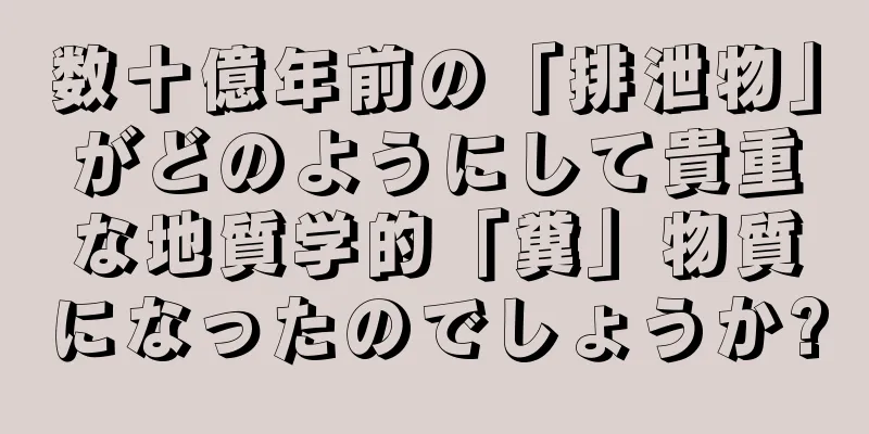 数十億年前の「排泄物」がどのようにして貴重な地質学的「糞」物質になったのでしょうか?