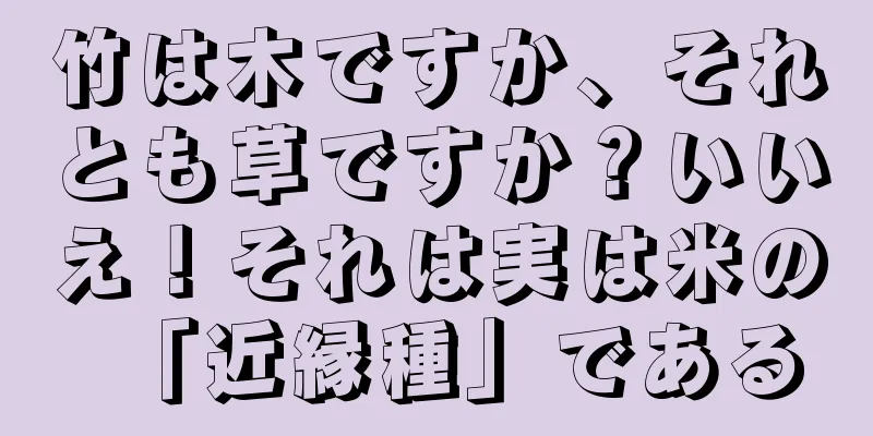 竹は木ですか、それとも草ですか？いいえ！それは実は米の「近縁種」である