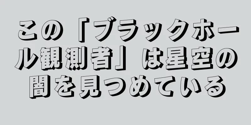 この「ブラックホール観測者」は星空の闇を見つめている