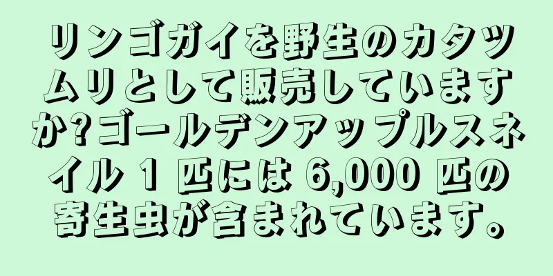 リンゴガイを野生のカタツムリとして販売していますか?ゴールデンアップルスネイル 1 匹には 6,000 匹の寄生虫が含まれています。