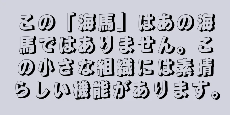 この「海馬」はあの海馬ではありません。この小さな組織には素晴らしい機能があります。