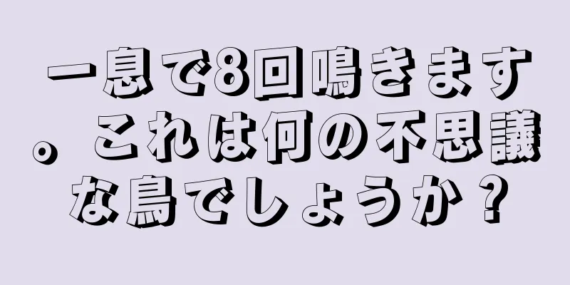 一息で8回鳴きます。これは何の不思議な鳥でしょうか？