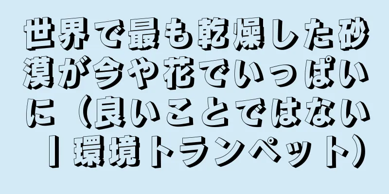 世界で最も乾燥した砂漠が今や花でいっぱいに（良いことではない丨環境トランペット）
