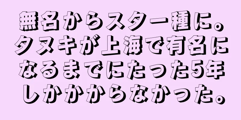無名からスター種に。タヌキが上海で有名になるまでにたった5年しかかからなかった。