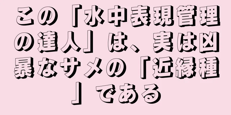 この「水中表現管理の達人」は、実は凶暴なサメの「近縁種」である