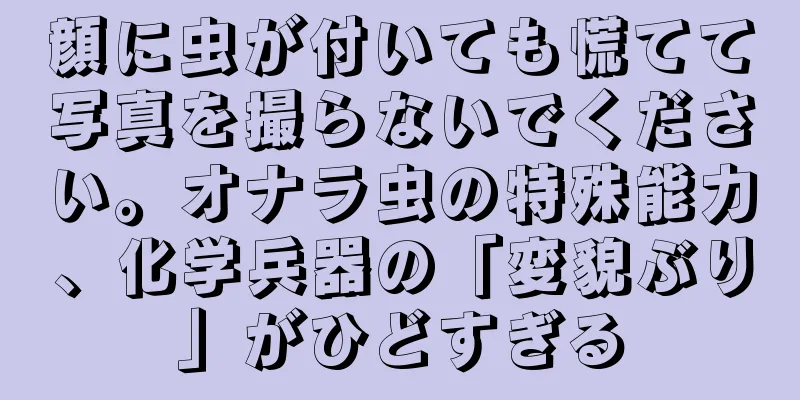 顔に虫が付いても慌てて写真を撮らないでください。オナラ虫の特殊能力、化学兵器の「変貌ぶり」がひどすぎる