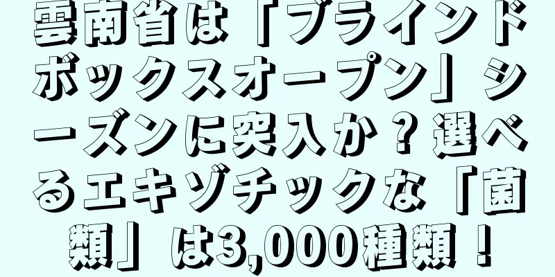 雲南省は「ブラインドボックスオープン」シーズンに突入か？選べるエキゾチックな「菌類」は3,000種類！