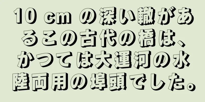 10 cm の深い轍があるこの古代の橋は、かつては大運河の水陸両用の埠頭でした。