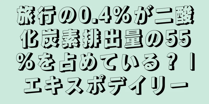 旅行の0.4%が二酸化炭素排出量の55%を占めている？ |エキスポデイリー