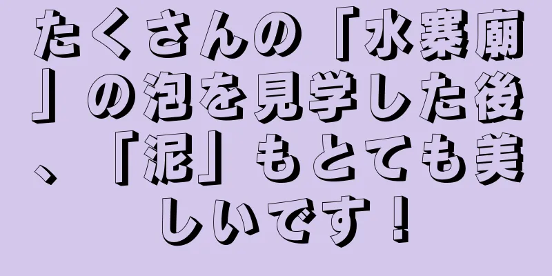 たくさんの「水寨廟」の泡を見学した後、「泥」もとても美しいです！