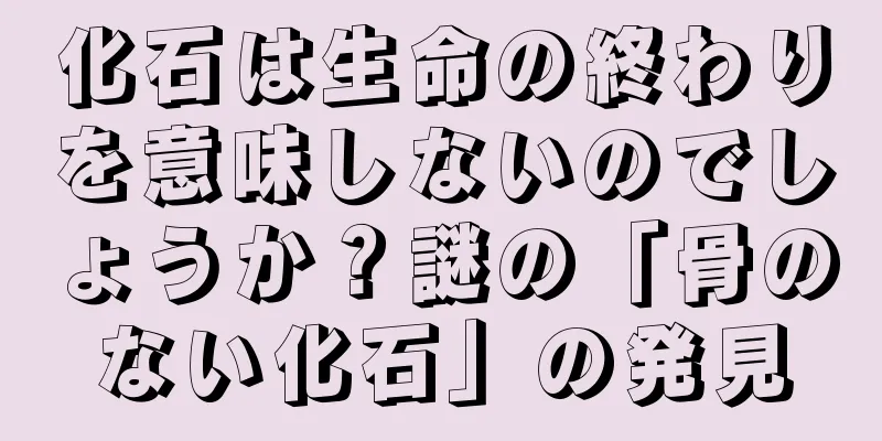 化石は生命の終わりを意味しないのでしょうか？謎の「骨のない化石」の発見