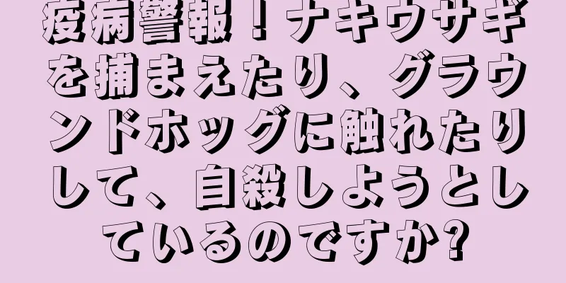 疫病警報！ナキウサギを捕まえたり、グラウンドホッグに触れたりして、自殺しようとしているのですか?