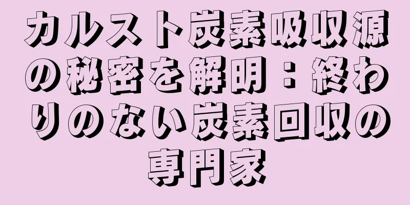 カルスト炭素吸収源の秘密を解明：終わりのない炭素回収の専門家