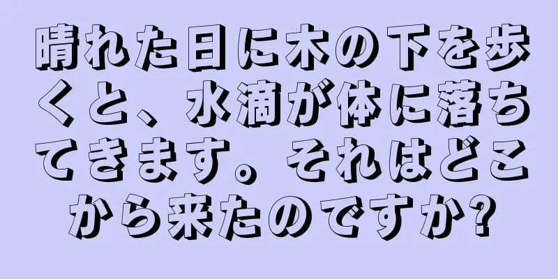 晴れた日に木の下を歩くと、水滴が体に落ちてきます。それはどこから来たのですか?