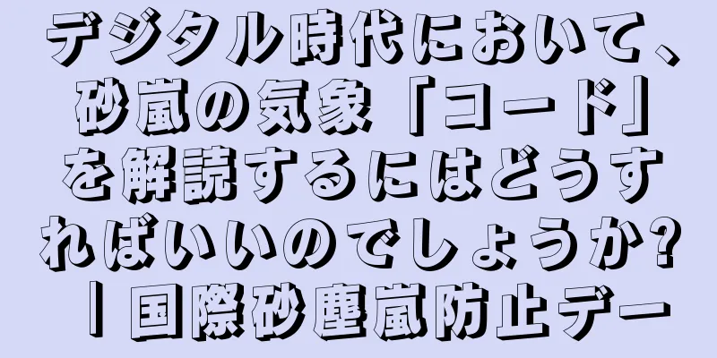 デジタル時代において、砂嵐の気象「コード」を解読するにはどうすればいいのでしょうか? ｜国際砂塵嵐防止デー