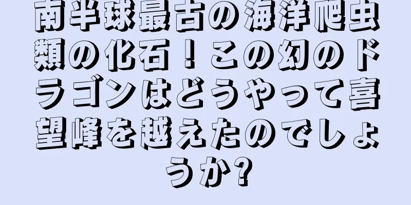 南半球最古の海洋爬虫類の化石！この幻のドラゴンはどうやって喜望峰を越えたのでしょうか?