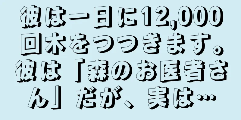 彼は一日に12,000回木をつつきます。彼は「森のお医者さん」だが、実は…