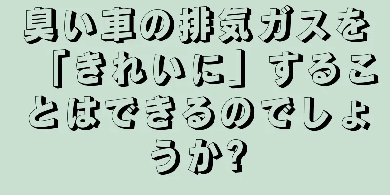 臭い車の排気ガスを「きれいに」することはできるのでしょうか?