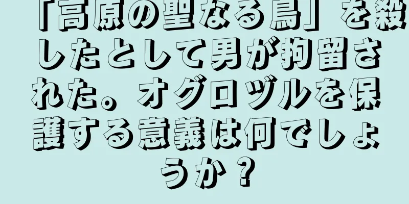 「高原の聖なる鳥」を殺したとして男が拘留された。オグロヅルを保護する意義は何でしょうか？