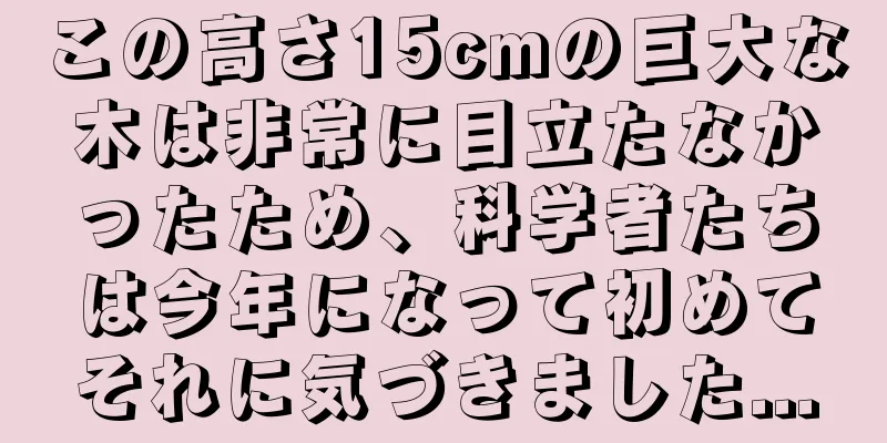 この高さ15cmの巨大な木は非常に目立たなかったため、科学者たちは今年になって初めてそれに気づきました...