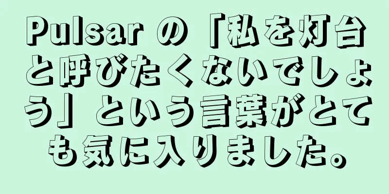 Pulsar の「私を灯台と呼びたくないでしょう」という言葉がとても気に入りました。