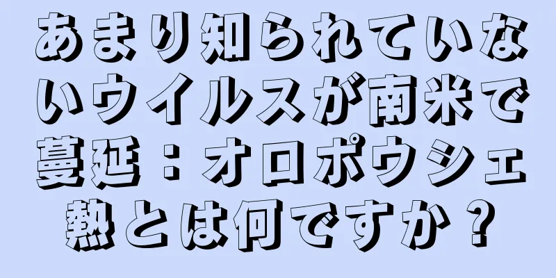 あまり知られていないウイルスが南米で蔓延：オロポウシェ熱とは何ですか？
