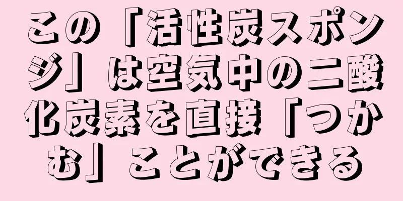 この「活性炭スポンジ」は空気中の二酸化炭素を直接「つかむ」ことができる