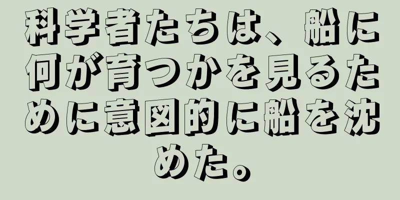 科学者たちは、船に何が育つかを見るために意図的に船を沈めた。