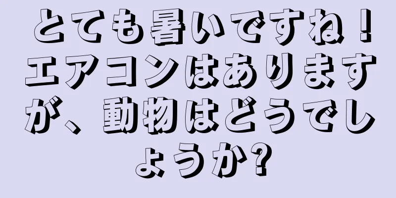 とても暑いですね！エアコンはありますが、動物はどうでしょうか?
