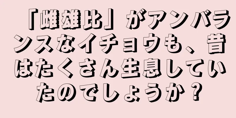 「雌雄比」がアンバランスなイチョウも、昔はたくさん生息していたのでしょうか？