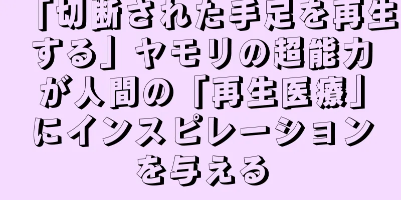 「切断された手足を再生する」ヤモリの超能力が人間の「再生医療」にインスピレーションを与える