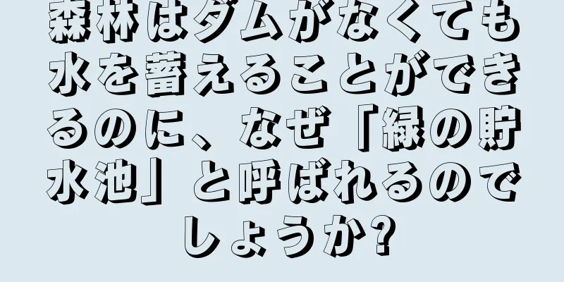 森林はダムがなくても水を蓄えることができるのに、なぜ「緑の貯水池」と呼ばれるのでしょうか?