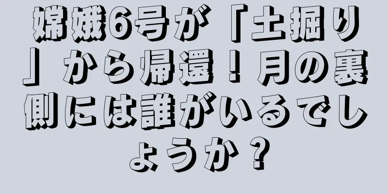 嫦娥6号が「土掘り」から帰還！月の裏側には誰がいるでしょうか？