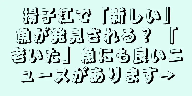 揚子江で「新しい」魚が発見される？ 「老いた」魚にも良いニュースがあります→