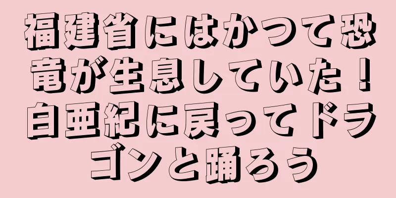 福建省にはかつて恐竜が生息していた！白亜紀に戻ってドラゴンと踊ろう