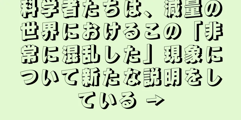科学者たちは、減量の世界におけるこの「非常に混乱した」現象について新たな説明をしている →