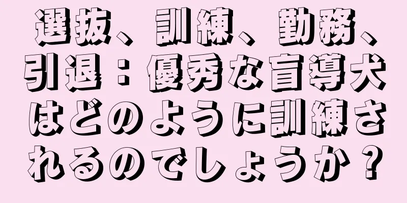選抜、訓練、勤務、引退：優秀な盲導犬はどのように訓練されるのでしょうか？