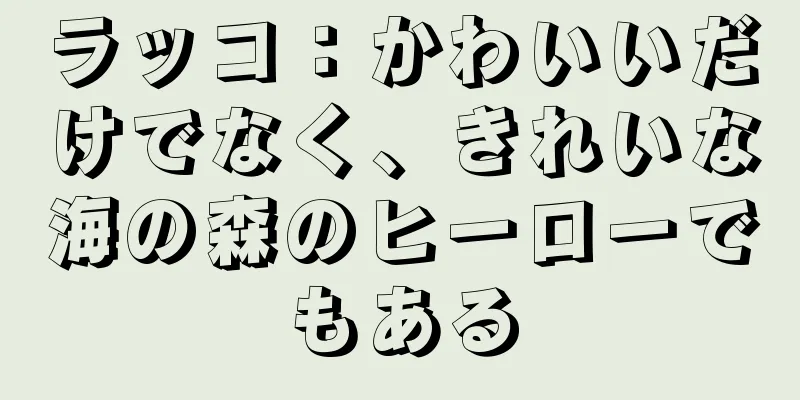 ラッコ：かわいいだけでなく、きれいな海の森のヒーローでもある