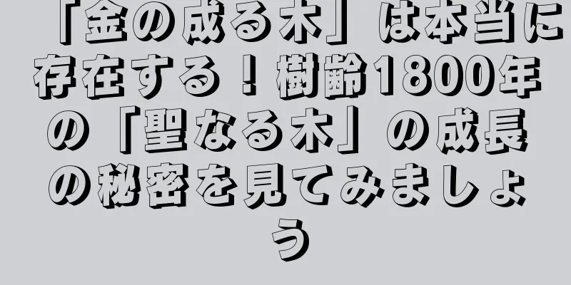 「金の成る木」は本当に存在する！樹齢1800年の「聖なる木」の成長の秘密を見てみましょう