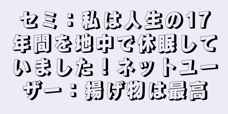 セミ：私は人生の17年間を地中で休眠していました！ネットユーザー：揚げ物は最高