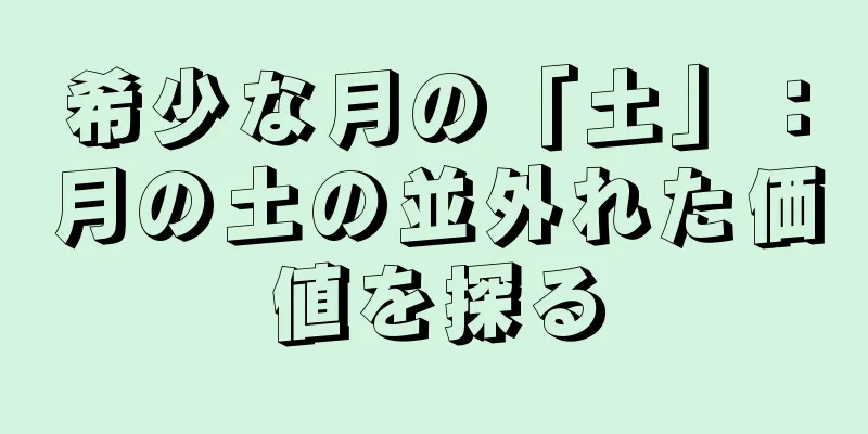 希少な月の「土」：月の土の並外れた価値を探る