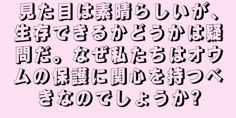 見た目は素晴らしいが、生存できるかどうかは疑問だ。なぜ私たちはオウムの保護に関心を持つべきなのでしょうか?
