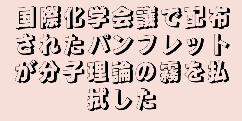 国際化学会議で配布されたパンフレットが分子理論の霧を払拭した