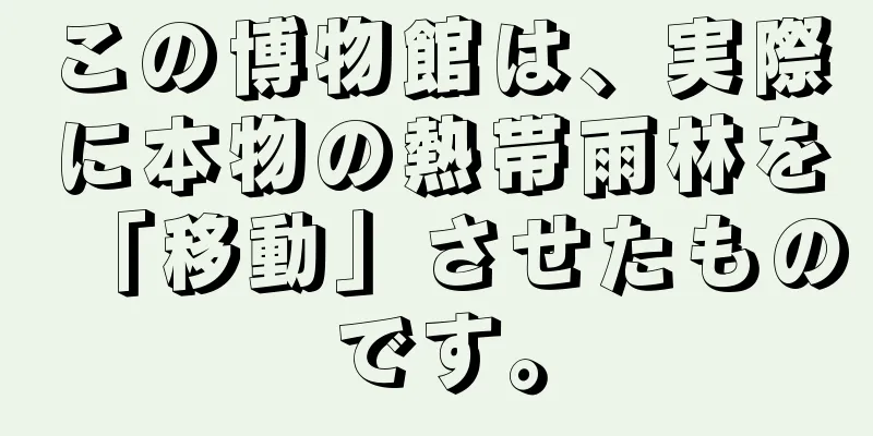 この博物館は、実際に本物の熱帯雨林を「移動」させたものです。