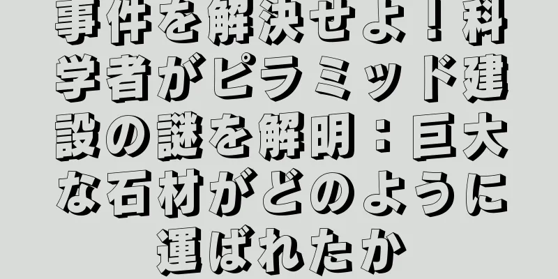 事件を解決せよ！科学者がピラミッド建設の謎を解明：巨大な石材がどのように運ばれたか