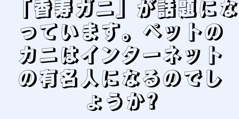 「香寿ガニ」が話題になっています。ペットのカニはインターネットの有名人になるのでしょうか?