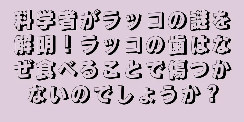 科学者がラッコの謎を解明！ラッコの歯はなぜ食べることで傷つかないのでしょうか？
