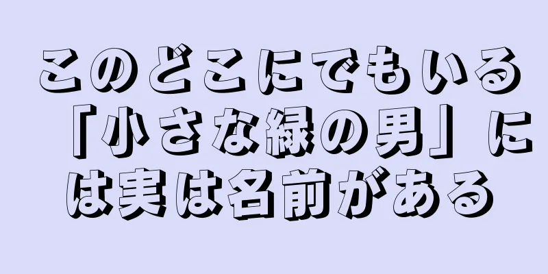 このどこにでもいる「小さな緑の男」には実は名前がある