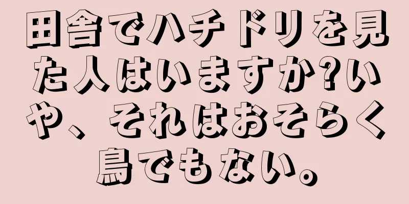 田舎でハチドリを見た人はいますか?いや、それはおそらく鳥でもない。